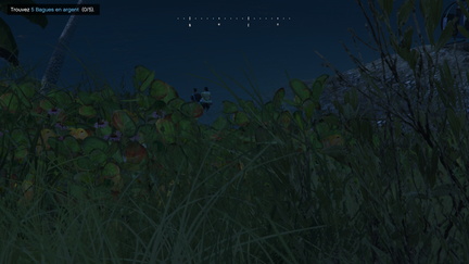 09-01-2021-17ba13f1704